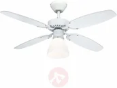 Wentylatory sufitowe - Westinghouse Halley wentylator, łopatki, buk - miniaturka - grafika 1