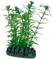 Dekoracje do akwarium - Hobby lagarosiphon, 7 cm - miniaturka - grafika 1
