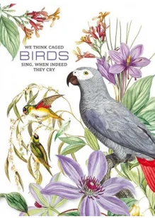 FRESH Notatnik ozdobny 165x238/80K kratka Papugi - Fresh - Notesy i bloczki - miniaturka - grafika 2