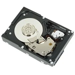 DELL 400-AUPW 1TB - Dyski HDD - miniaturka - grafika 5