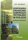 Biznes - Gospodarka finansowa samorządu terytorialnego w Polsce - Lech Jędrzejewski - miniaturka - grafika 1
