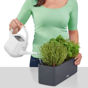 Lechuza Doniczka BALCONISSIMA Color 40 piaskowy brąz BALCONISSIMA C.40 PI - Donice - miniaturka - grafika 11