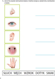 Wydawnictwo MAC Zdobywam świat. Karty pracy część 1 - jesień. Poziom 7 882101 - Podręczniki dla szkół podstawowych - miniaturka - grafika 8