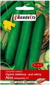 Nasiona i cebule - Plantico Ogórek szklarniowwy Atos F1 - miniaturka - grafika 1