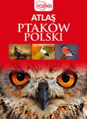 Albumy - historia - Przybyłowicz Anna Atlas ptaków Polski - miniaturka - grafika 1