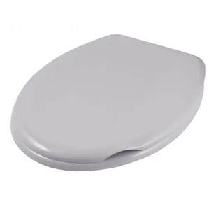 AWD Interior Deska Sedesowa LINDI szary AWD02181300 - Deski sedesowe AWD Interior Deska Sedesowa LINDI szary AWD02181300 - Deski sedesowe - miniaturka - grafika 1