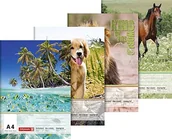 Notesy i bloczki - Brunnen 1047914 blok rysunkowy (A4, 100 G/M, 20 arkuszy) motywy zwierzęce 1047914 - miniaturka - grafika 1