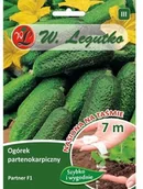 Nasiona i cebule - Legutko Ogórek partenokarpiczny PARTNER F1 - miniaturka - grafika 1