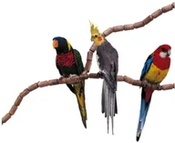 Smycze dla psów - Ferplast 84192799 grzędy wtykowe Flex 4192, 16 MM średnicy, 79-częściowy 84192799 - miniaturka - grafika 1