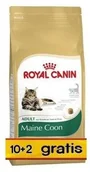 Mokra karma dla kotów - Royal Canin Maine coon 10 kg + 2 kg gratis! - miniaturka - grafika 1