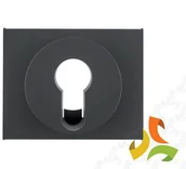 Klawisze i ramki - Hager BERKER K.1 Płytka czołowa do wyłącznika na klucz antracyt mat lakierowany 15057006 15057006/HAG - miniaturka - grafika 1