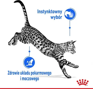 Royal Canin Indoor 400g 288060 - Mokra karma dla kotów - miniaturka - grafika 8