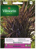 Nasiona i cebule - Vilmorin Nasiona ryż ozdobny Black Madras - miniaturka - grafika 1