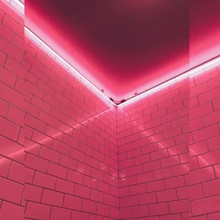 v-tac Neon Flex 24V 10mb 8W/m V-TAC VT-555 Czerwony 320lm - Taśmy LED - miniaturka - grafika 7