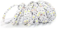Taśmy LED - KOLORENO TAŚMA LED 12V | 5050 | 300LED | 5M | IP20 | RGB+WW (BIAŁY CIEPŁY) TL12V505060IP20RGBWW - miniaturka - grafika 1