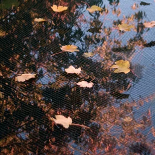 Ubbink Siatka ochronna na oczko wodne, PE, 3x6 m, 1064338 Outsideliving - Akcesoria do basenów - miniaturka - grafika 3