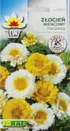 Nasiona i cebule - Toraf Złocień wieńcowy nasiona kwiatów 1g 00522 - miniaturka - grafika 1