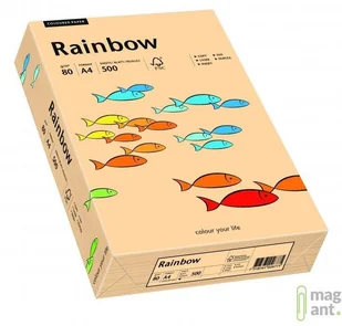 Papyrus papier wielofunkcyjny Rainbow 80 G/M, A4 500 arkuszy łosoś 7318761038068 - Papier do drukarek Papyrus papier wielofunkcyjny Rainbow 80 G/M, A4 500 arkuszy łosoś 7318761038068 - Papier do drukarek - miniaturka - grafika 2