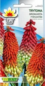 Nasiona i cebule - Toraf Trytoma groniasta nasiona kwiatów 0,5g 00501 - miniaturka - grafika 1