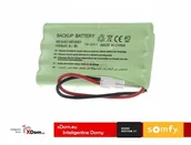 Akcesoria do bram - Somfy akumulator awaryjny 9001001 9001001 - miniaturka - grafika 1