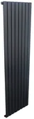 Grzejniki pokojowe - REGNIS Grzejnik dekoracyjny FARON 180X42 antracyt DURATERM - miniaturka - grafika 1