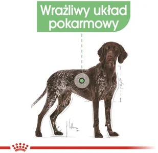 Royal Canin Maxi Adult 18 kg - Sucha karma dla psów Royal Canin Maxi Adult 18 kg - Sucha karma dla psów - miniaturka - grafika 6