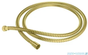 Kohlman Axel Gold zestaw prysznicowy z deszczownicą 30 cm złoty połysk QW210AGDR30 | - Zestawy prysznicowe Kohlman Axel Gold zestaw prysznicowy z deszczownicą 30 cm złoty połysk QW210AGDR30 | - Zestawy prysznicowe - miniaturka - grafika 8