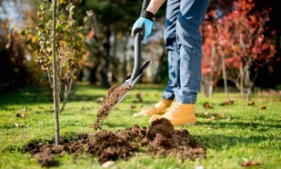 Cellfast Szpadel krótki IDEAL 40-205 40-205 - Łopaty i widły - miniaturka - grafika 3