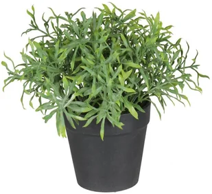 SPLENDID Zioła sztuczne w doniczce 20 cm SPLENDID - Sztuczne kwiaty - miniaturka - grafika 2