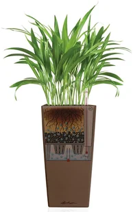 Lechuza Donica Cubico Color 30 ALL-IN-ONE, muszkatołowa, 13133 - Donice - miniaturka - grafika 4