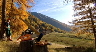 Oleo-Mac GS 630 PROFI 50029127E5 - Piły spalinowe - miniaturka - grafika 7