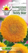 Nasiona i cebule - Toraf KWIATY Słonecznik Teddy Bear nasiona 2g 00474 - miniaturka - grafika 1