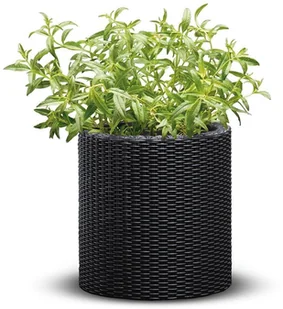 Keter Donica na choinkę, Cylinder S, antracytowa, 7 l - Donice - miniaturka - grafika 7