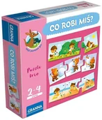 Gry planszowe - Granna Co robi miś$979 - miniaturka - grafika 1