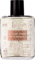 Wody po goleniu - Pan drwal Pan Drwal Steam Punk Aftershave woda po goleniu 100ml 15717 - miniaturka - grafika 1
