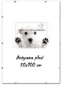 Ramki na zdjęcia - NA Antyrama Plexi 50x100 cm Ramka Zdjęcia 100x50 - miniaturka - grafika 1