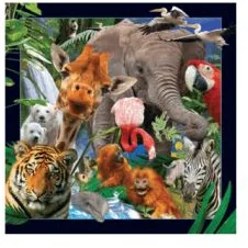 Worth-Keeping Gadżet Worth-Keeping Magnes na lodówkę 3D Dzikie zwierzęta WIKR-1000424 WIKR-1000424 - Gadżety USB - miniaturka - grafika 2