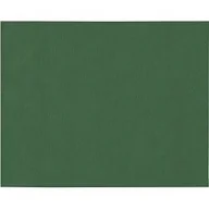 Pozostałe akcesoria barmańskie - Papstar podkładki na stół, 100, tkaninopodobne, włókniny polipropylenowej "soft selection" 30 cm x 40 cm ciemnozielony, # 82324 82324 - miniaturka - grafika 1