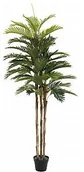 Sztuczne drzewka - Europalms EUROPALMS Kentia palma, sztuczna roślina, 150 cm 82511366 - miniaturka - grafika 1