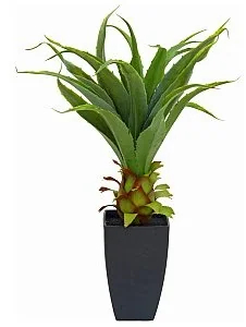 Europalms EUROPALMS Roślina agawa z doniczką, sztuczna roślina, 75 cm 82600160 - Sztuczne kwiaty Europalms EUROPALMS Roślina agawa z doniczką, sztuczna roślina, 75 cm 82600160 - Sztuczne kwiaty - miniaturka - grafika 1