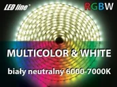 Taśmy LED - LED Line Taśma LED LEDline RGBW 300SMD5060 IP20 biała neutralna niewodoodporna - 5m. 245657 - miniaturka - grafika 1