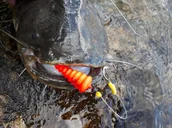 Inne akcesoria dla wędkarzy - Black Cat Super Spławik Podwodny Tree 10 Gr Fluo - miniaturka - grafika 1