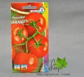 Nasiona i cebule - Lobelia Pomidor wysoki Krakus 0,5g Nas000219 - miniaturka - grafika 1