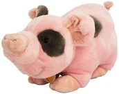 Maskotki i pluszaki - Unbekannt Pluszowe pluszaki & Company 05918  Pig rovys  33 cm Plush & Company_05918 - miniaturka - grafika 1