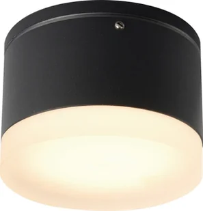 AZZARDO APULIA AZ4333 downlight natynkowy 1x10W/LED IP54 AZ4333 - Lampy ogrodowe - miniaturka - grafika 2