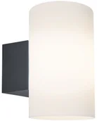 Lampy ogrodowe - Paulmann Outd 230V Wandl Tube IP54 E27 max15W Alu 94186 - miniaturka - grafika 1