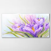 Obrazy i zdjęcia - PL Coloray Obraz Szklany kwiaty rośliny przyroda 120x60cm - miniaturka - grafika 1