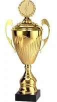 VS VS, Puchar złoty z przykrywką, 7098/DP, metalowy - Gadżety dla kibiców - miniaturka - grafika 3