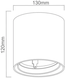Orlicki Design Sufitowa LAMPA downlight Neo bianco mobile metalowa OPRAWA okrągła spot tuba biała Neo bianco mobile - Lampy sufitowe - miniaturka - grafika 2
