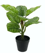 Sztuczne kwiaty - Flair Flower maranthus roślin w doniczce 151428GN - miniaturka - grafika 1